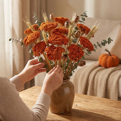 Achillea Orange Trockenblumen Schafgarbe 45-60cm 1kg | Floristik24.de