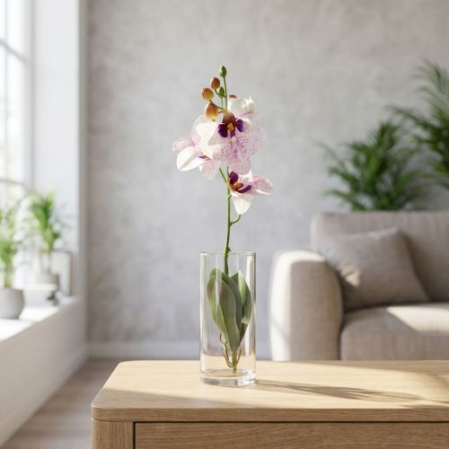 becher de shop Hochlandrind Geschenk: Kultbecher mit Spruch im Retro-Look – Malou Home Design® Schafswolle