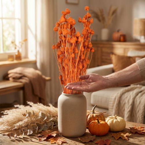 Trockenblumen Trockendistel Erdbeerdistel Orange 100g | Floristik24.de