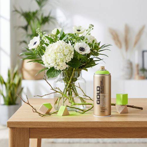Lackspray Apfelgrün Sprühlack Acryllack Montana Gold 400ml | Floristik24.de