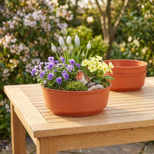 Z-Schale Plastik Ø22cm 10 St | Floristik24.de