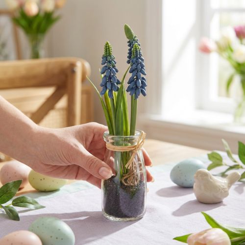 Hyazinthe künstlich Perlhyazinthe Blau im Glas H22cm 2St | Floristik24.de