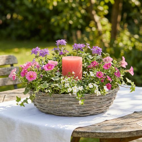 Artikel Weiden-Pflanzschale Weiß Natur Optik Deko-Ring für Kreative Gartengestaltung Ø35/30cm 2er-Set Vielseitig