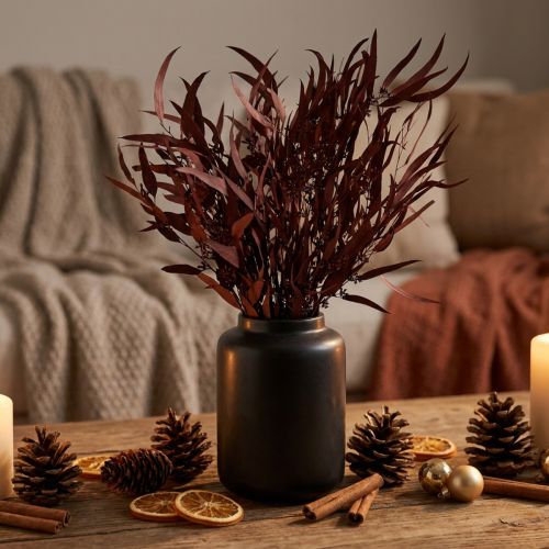 Eukalyptus Konserviert Eukalyptuszweige Rot, Braun 56cm 135g | Floristik24.de