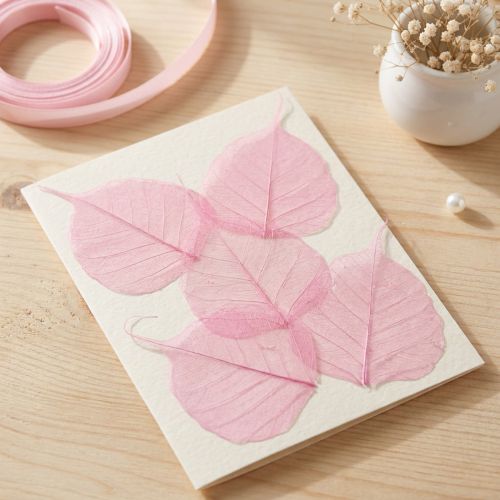 Skelettblätter Rosa Deko Weidenblätter 5-9cm, 200 Stück - Ideal für Grußkarten & DIY | Floristik24.de