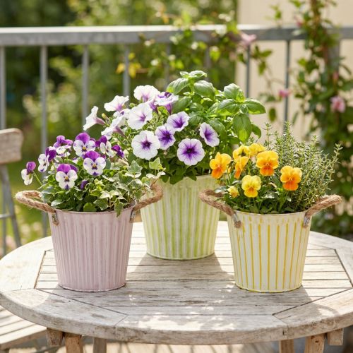 Eimer zum Bepflanzen, Übertopf mit Henkeln, Metalldeko Rosa/Grün/Gelb Shabby Chic Ø16,5cm H15cm 3er-Set | Floristik24.de