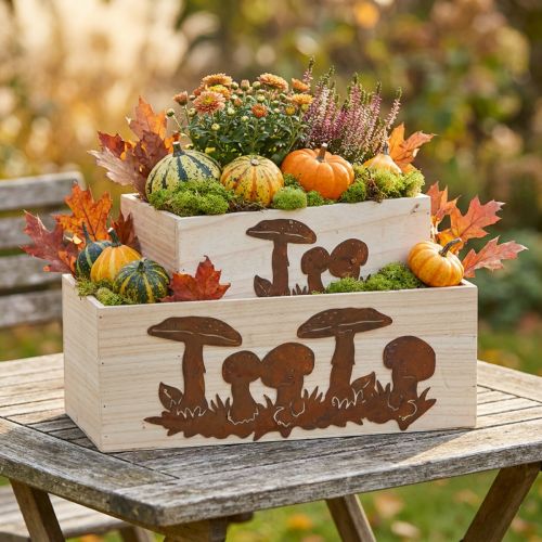 Pflanzkasten-Set, Holzkisten mit Pilzen, Herbstdeko Edelrost L40/30cm 2er-Set | Floristik24.de