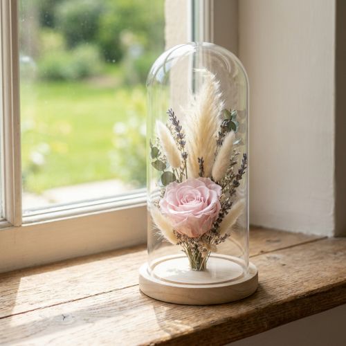 Glassturz Glasglocke mit Holzfuß Klar Ø14cm H28,5cm