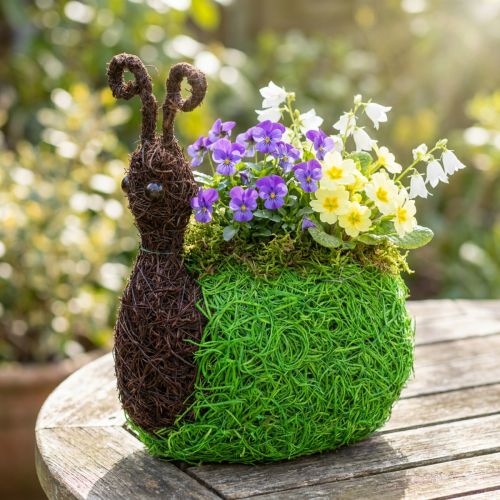 Pflanzgefäß Schnecke Rebe Natur, Grün 21x14cm H26cm | Floristik24.de