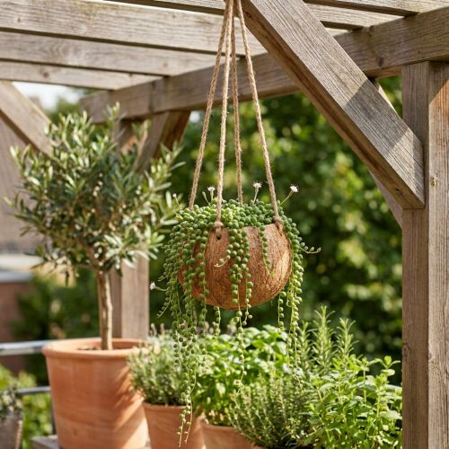 Kokosschale zum Hängen Ø8cm L55cm Natur