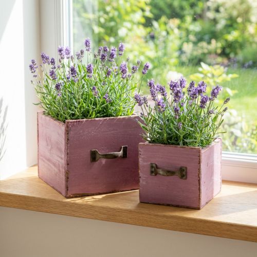 Pflanzschublade Pflanzkasten Holz Lila 12,5/16cm 2er-Set | Floristik24.de
