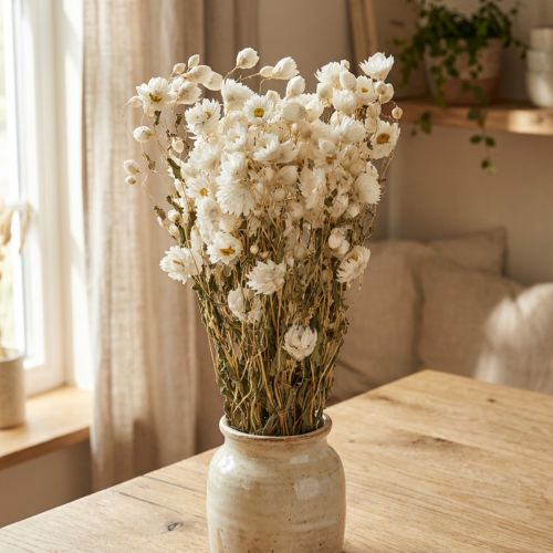 Kamille Trockenblumen Weiß Bund 65cm 50g