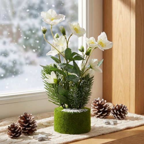 Künstliche Christrose mit Tanne Weiß 33cm