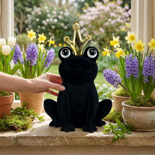 Dekofrosch, Froschkönig, Frühlingsdeko, Frosch mit Goldkrone Schwarz 40,5cm | Floristik24.de