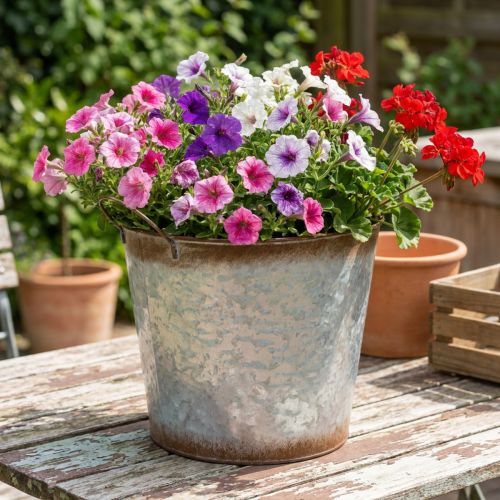 Pflanztopf mit Griffen, Deko-Schale Rostdeko, Metallgefäß Silbern Ø26cm H25,5cm | Floristik24.de