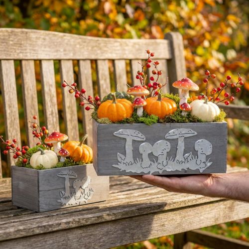 Holzkasten-Set Fliegenpilz, Herbstdeko, Gartendeko, Pflanzkisten L40/30cm 2er-Set | Floristik24.de
