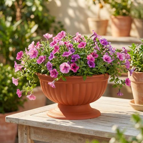 Artikel Schale mit Fuß Terrakotta Ø26cm