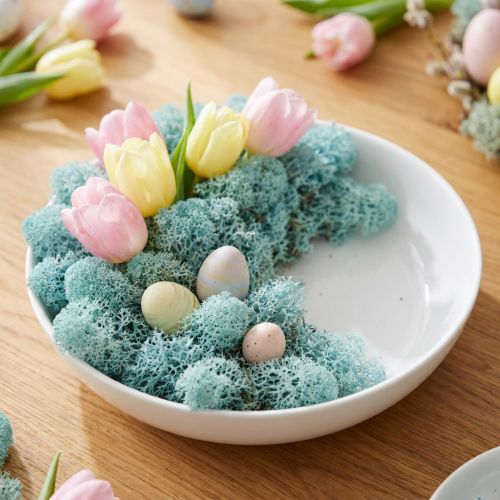 Deko Moos Hellblau 400g Islandmoos Naturprodukt
