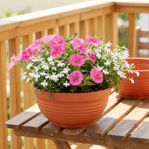 Artikel R-Schale Plastik Terrakotta Ø15cm, 10 St