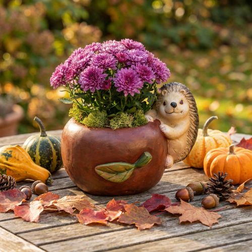 Pflanzgefäß, Apfel mit Igel, Herbstdeko, Übertopf, Keramik Ø16cm H22cm B33cm | Floristik24.de