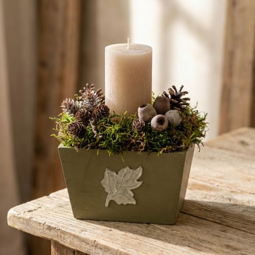 Pflanzkasten Holz Shabby Chic Holzkiste Grün 11×14,5×14cm | Floristik24.de