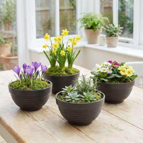Artikel R-Schale Plastik Anthrazit Ø13cm, 10 St
