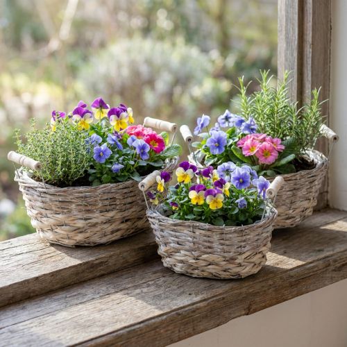 Artikel Naturkorb zum Bepflanzen, Korb mit Griffen, Pflanzgefäß Shabby Chic Weiß gewaschen L31/27,5/24cm H12/11,5/10cm 3er-Set