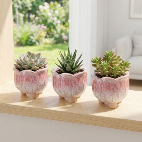 Mini Übertopf Keramik Ø8cm H7cm 3er Set