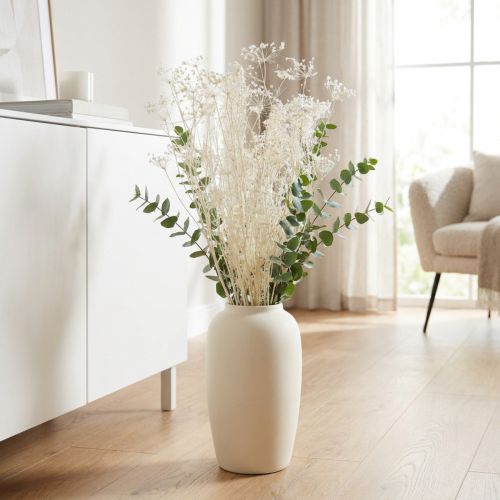 Doldenblütler Trockenblumen Umbellifera Weiß 70-80cm 150g | Floristik24.de