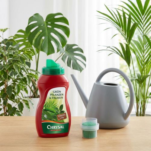 Chrysal Grünpflanzen & Palmen Dünger 250ml | Floristik24.de
