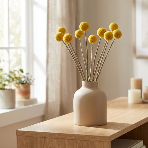 Craspedia Trockenblumen Gelb 70cm Deko 10 St | Floristik24.de