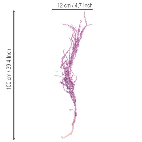 Artikel Fuchsschwanz Trockenblumen gefärbt für moderne Wohndekoration 100cm 5St