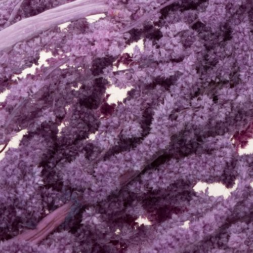 Artikel Fuchsschwanz Trockenblumen gefärbt für moderne Wohndekoration 100cm 5St