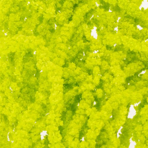 Artikel Fuchsschwanz Trockenblumen gefärbt für besondere Wohnraum Deko und einzigartige Akzente 100cm 5St