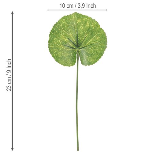 Artikel Galax Urceolata Blätter Künstlich Grün Ø10cm L23cm 12 St