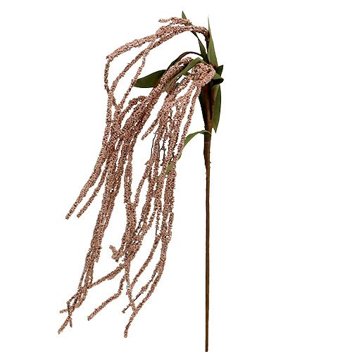 Floristik24 Garten-Fuchsschwanz 95cm