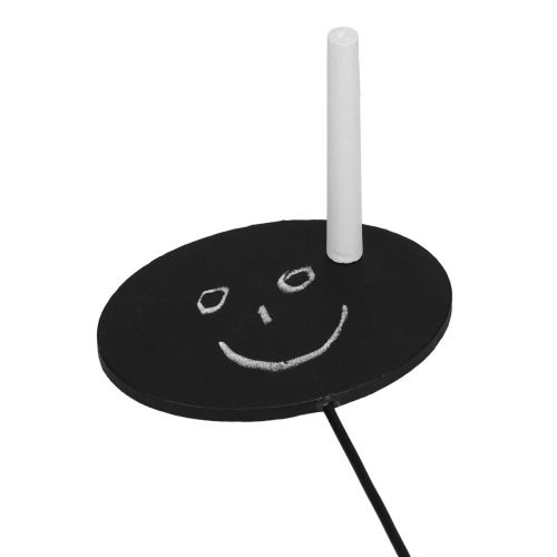 Artikel Beetstecker Gartenstecker Holz Holzschilder Oval Schwarz H17,5cm 12St