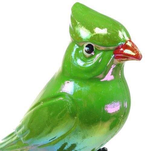 Artikel Gartenstecker Papagei Grün 16cm