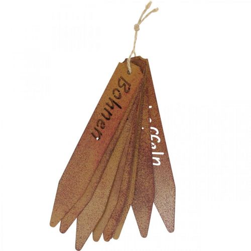 Floristik24 Roststecker, Gemüsebeschriftung, Pflanzenschilder Edelrost L20cm 9St