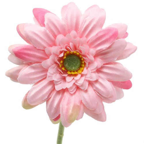 Floristik24 Gerbera Rosa künstlich 47cm 12St