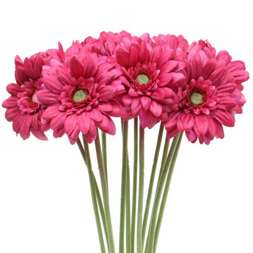 Floristik24 Gerbera Pink 48cm 12St