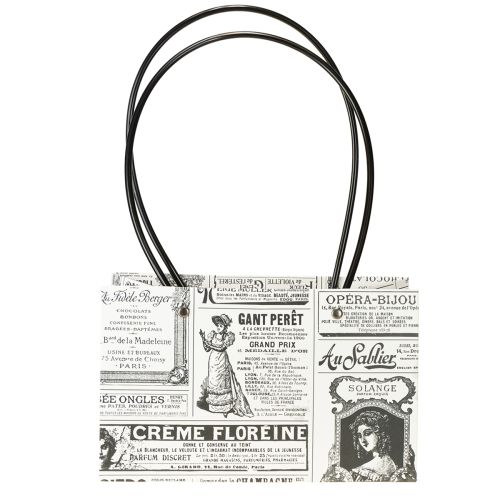 Artikel Geschenktüten Geschenktasche Papier 13,5×22cm 10St