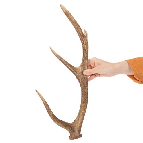 Deko-Geweih künstlich rustikal Hüttendeko 50cm | Floristik24.de
