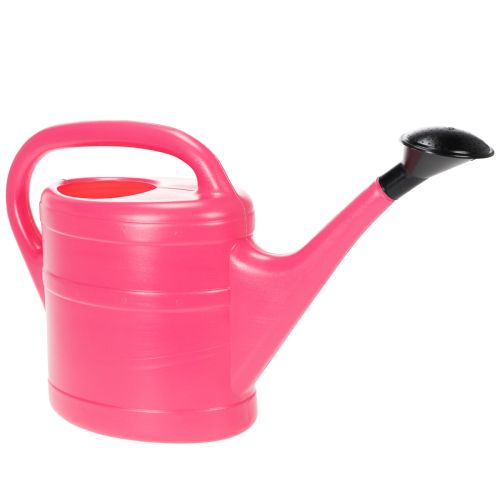 Floristik24 Gießkanne in Pink 5l