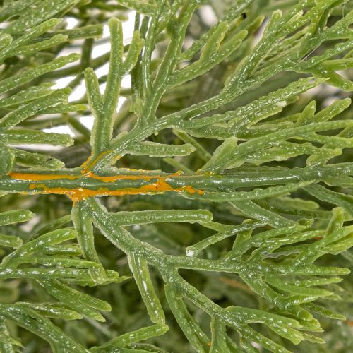 Künstliche Tannengirlande für Tür und Fenster 200cm | Floristik24.de