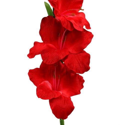 Floristik24.de Gladiole Rot künstlich 86cm-43401-02