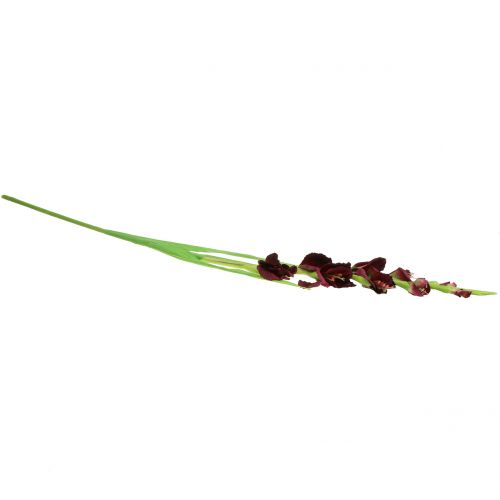 Floristik24 Gladiole Real-Touch Bordeaux 93cm