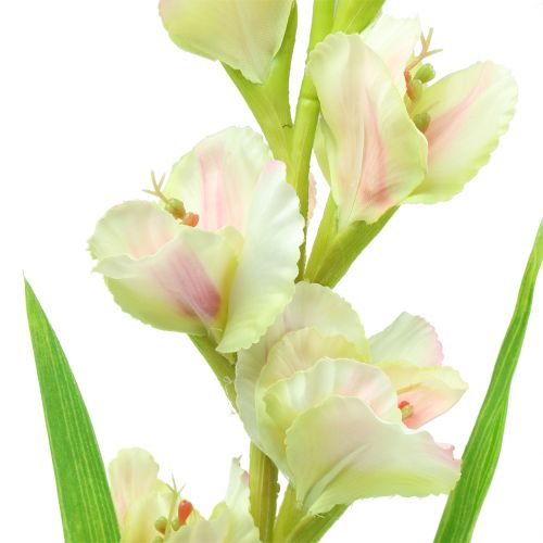 Floristik24 Gladiole Weiß 93cm