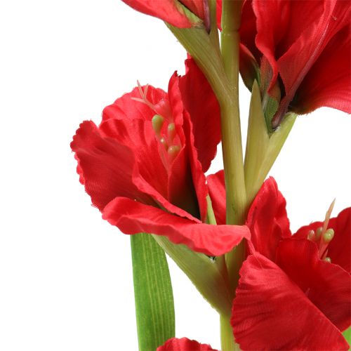 Floristik24 Gladiole Rot 93cm