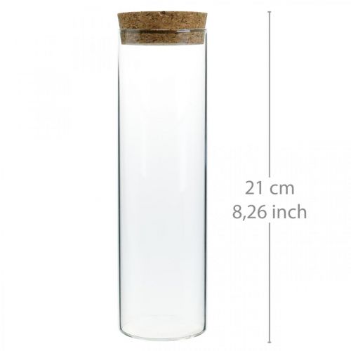Floristik24 Glas mit Korkdeckel Glaszylinder mit Korken Klar Ø6cm H21cm